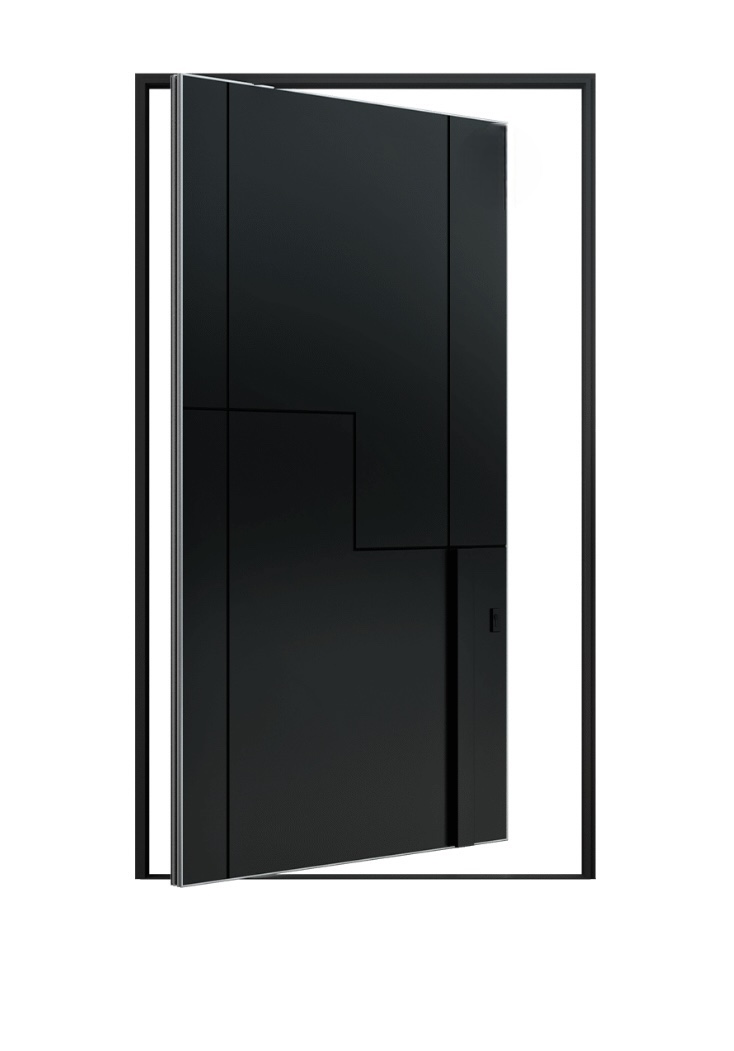 Pivot Door 3