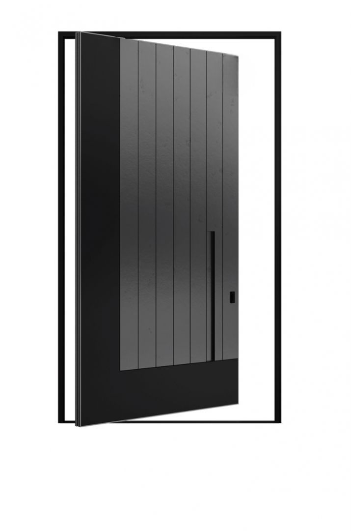 Pivot Door 2